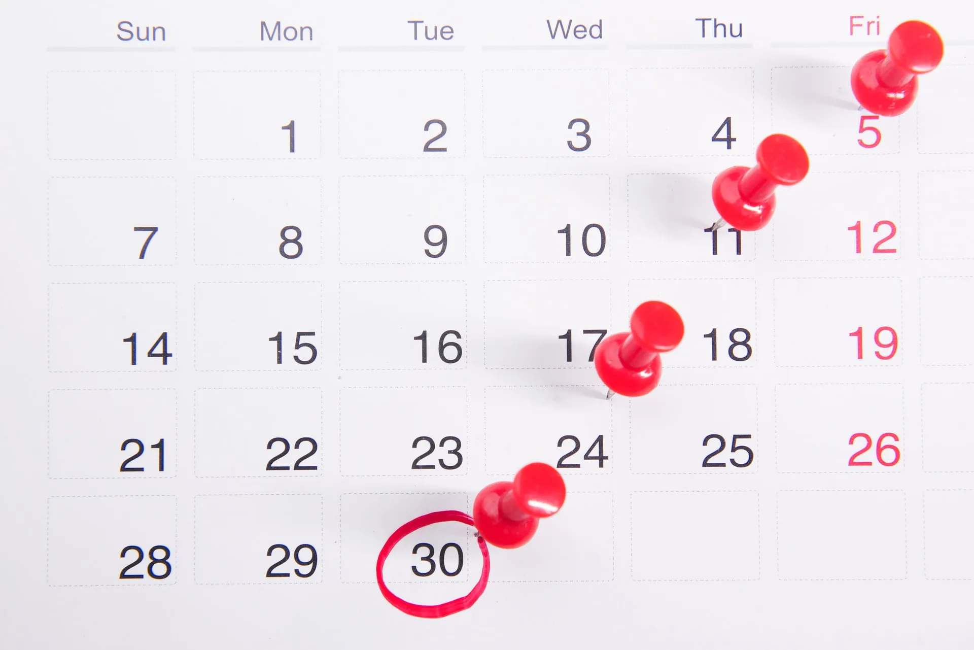 Calendar with marked reminders